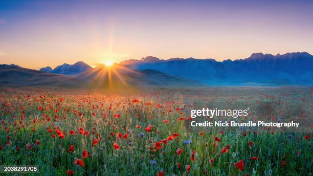 sunrise, tyrol. austria. - summer solstice stock pictures, royalty-free photos & images