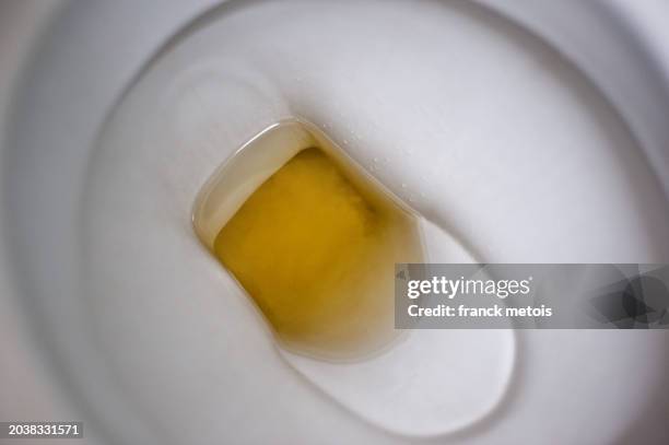 flushing toilet, urine - urine stockfoto's en -beelden