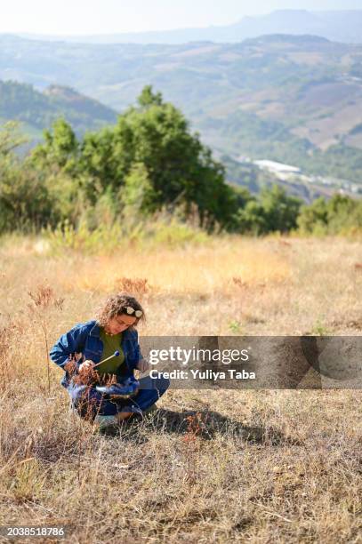 spiritual musician playing hand pan percussion instrument. - steel drum stock pictures, royalty-free photos & images