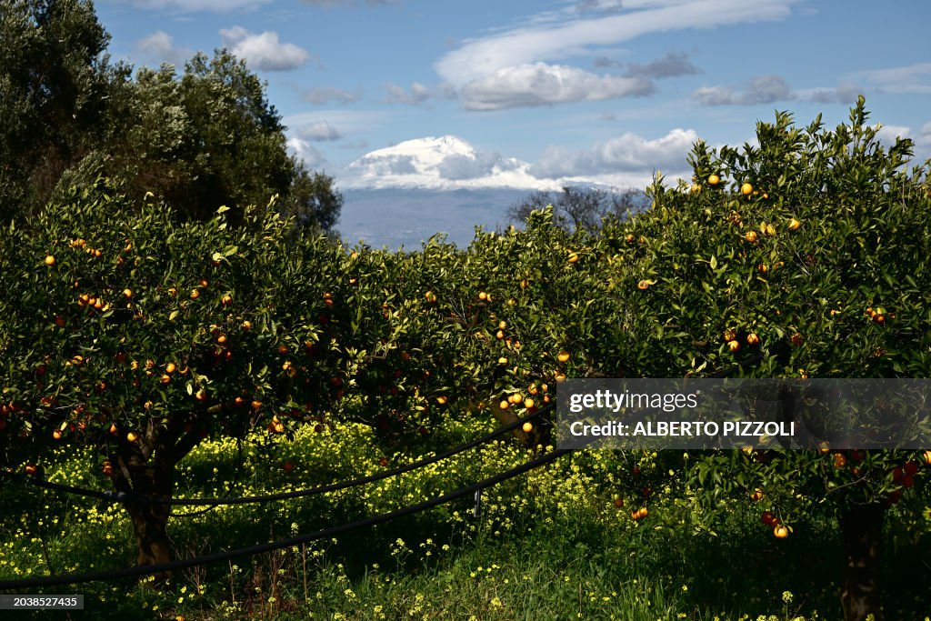 ITALY-DROUGHT-SICILY