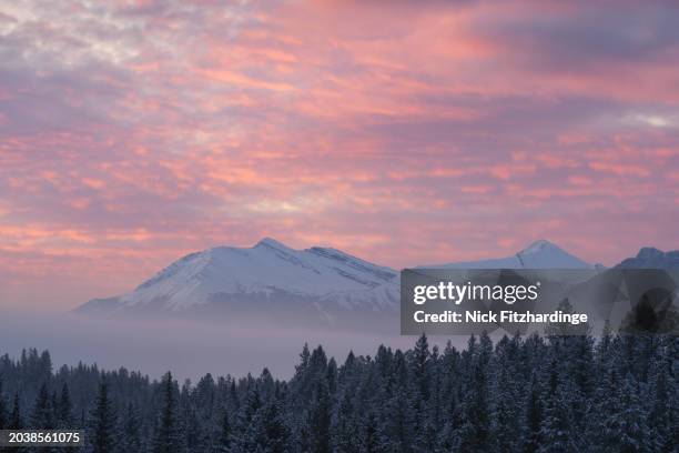 sunrise over mt collembola in canmore in winter - collembola stock pictures, royalty-free photos & images