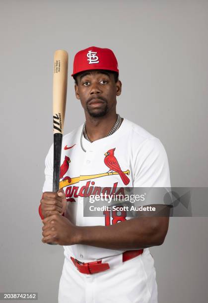 Jordan Walker of the St. Louis Cardinals poses for a photo during the St. Louis Cardinals Photo Day at Roger Dean Chevrolet Stadium on Wednesday,...