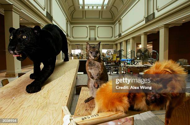 Kenneth E Behring Family Hall Photos and Premium High Res Pictures ...