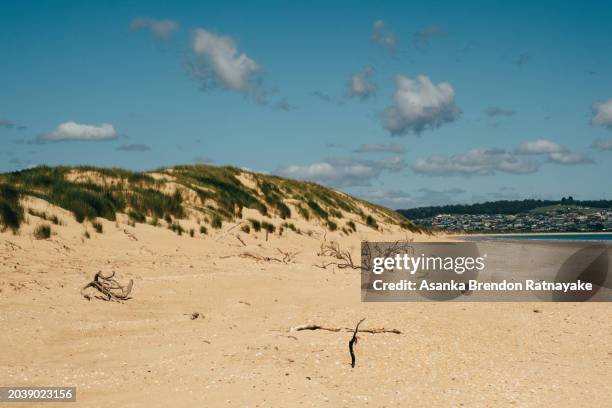 barnbougle dunes - asanka brendon ratnayake stock pictures, royalty-free photos & images