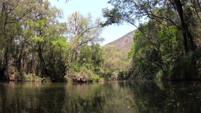 Three Rivers Five Ranges 30 Brisbane Ranges National Park Stock Videos, Footage, & 4K Video ...