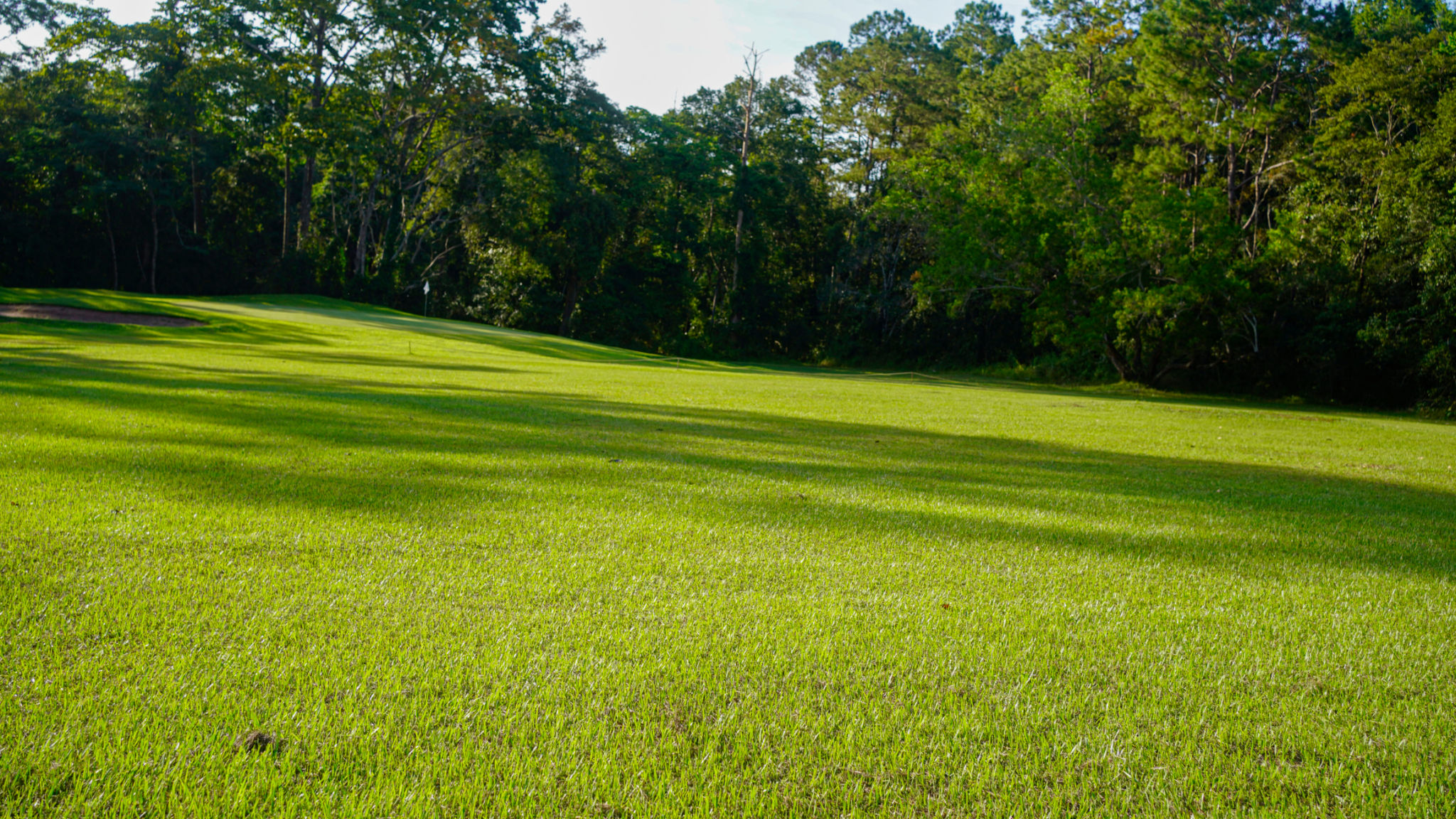 lawn care Yulee