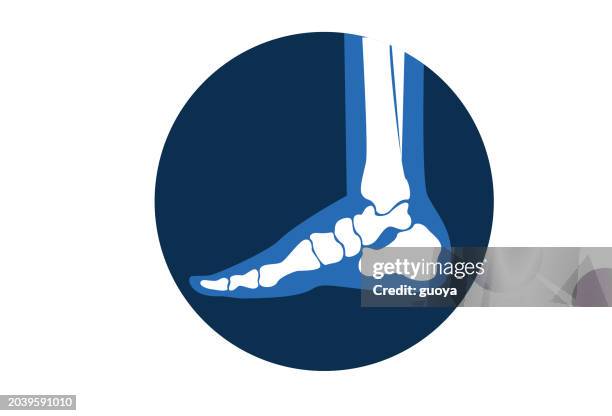 bildbanksillustrationer, clip art samt tecknat material och ikoner med foot side joint orthopedic icon. - människolem