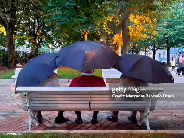 three senior men relaxing in a public park , sitting  on a wooden bench in a rainy day. - ourense 個照片及圖片檔