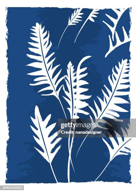 blueferns - fern stock illustrations