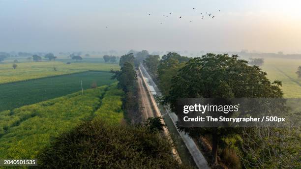 scenic view of road amidst field against sky - the storygrapher fotografías e imágenes de stock