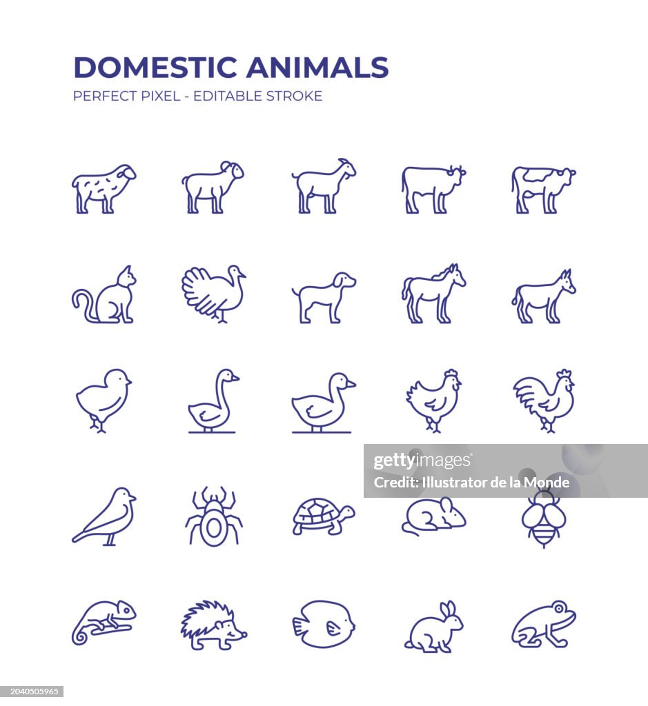 El conjunto de iconos de línea editable de animales domésticos contiene iconos como ovejas, cabras, vacas, vacas, pavos, caballos, pollos, pájaros, burros, gatos, perros, etc