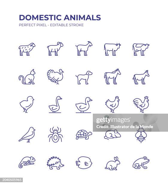 bildbanksillustrationer, clip art samt tecknat material och ikoner med domestic animals editable line icon set contains such icons as sheep, goat, cattle, cow, turkey, horse, chicken, bird, donkey, cat, dog and so on - ko