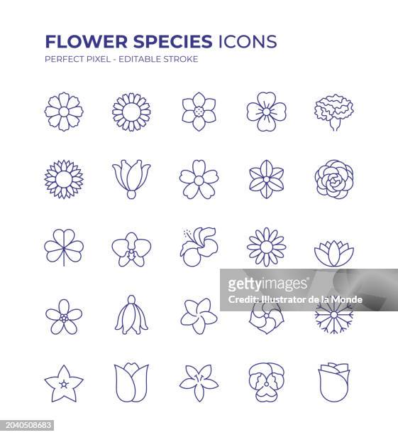 flower species editable line icon set contains such icons as clover, camellia, hibiscus, tulip, rose, snowflake flower, blossom,water lily and so on - plumeria stock illustrations