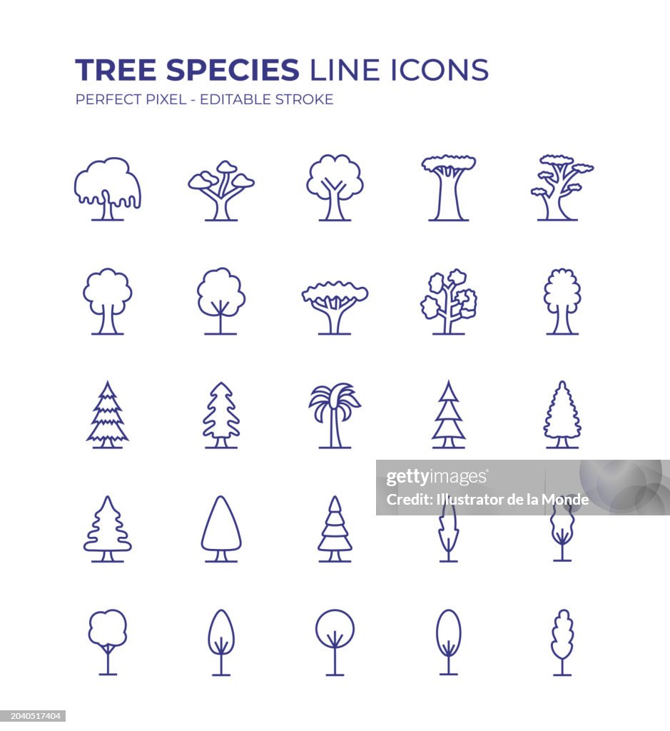 Das bearbeitbare Linien-Icon-Set für Baumarten enthält Symbole wie Ahornbaum, Akazienbaum, Weidenbaum, Zeder, Palme, Kiefer, Zypresse und so weiter