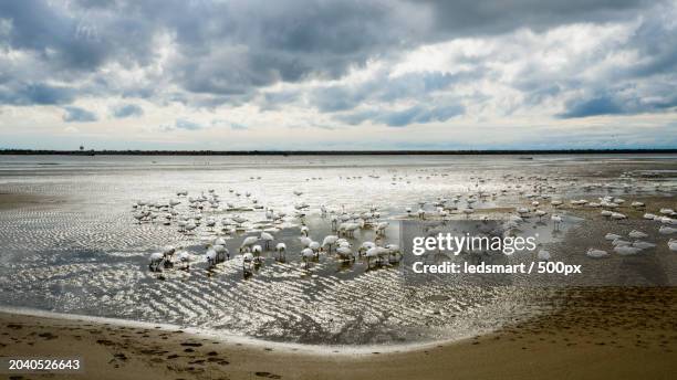 scenic view of beach against sky,richmond,british columbia,canada - richmond british columbia stock pictures, royalty-free photos & images