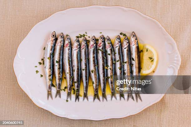 fresh raw sardines in olive oil and lemon - cooking oil stock pictures, royalty-free photos & images