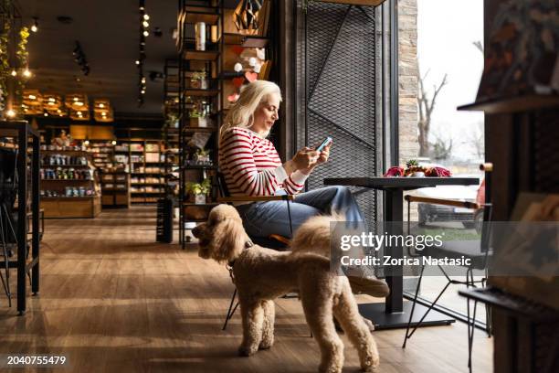 a girl and her furry friend in the pet cafe - dierenwinkel stockfoto's en -beelden
