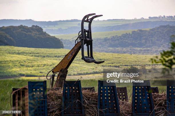 Sugarcane grabber loader machine gathers cut sugarcane on ground and loads truck for transporting to the mill for ethanol and sugar production.