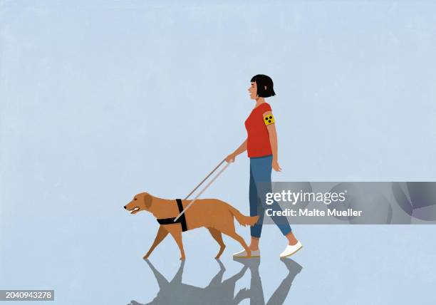 blind woman walking with seeing eye dog - blindness stock illustrations