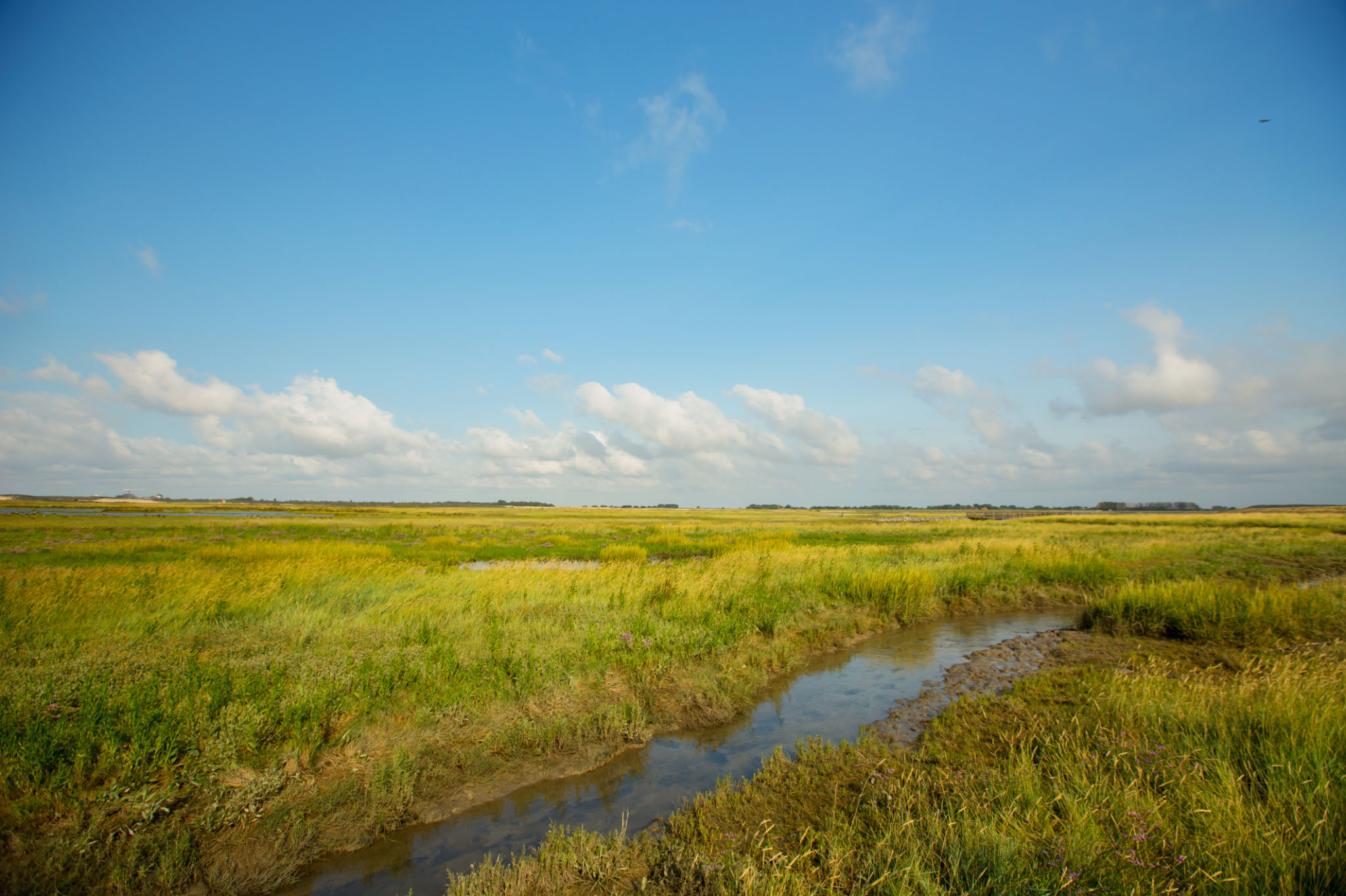 flanders landscape