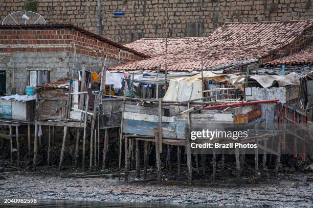 Extreme poverty in favela at Northeastern Brazil, stilt houses raised on piles over a muddy soil for preventing flooding.