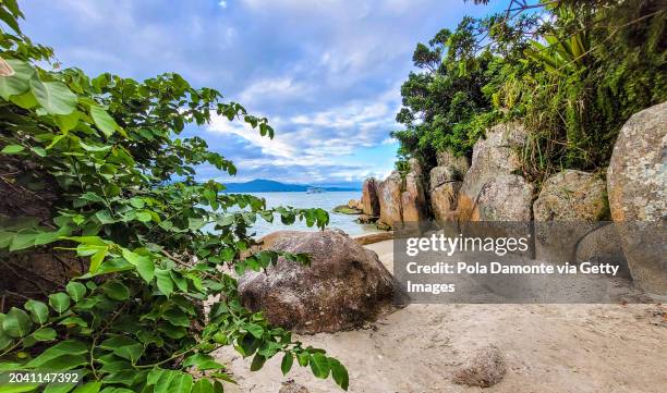 paradise beach at praia canajure - santa catarina brazil stock pictures, royalty-free photos & images