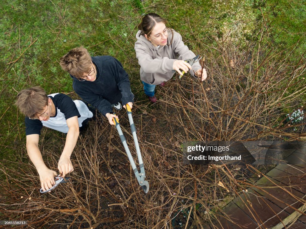 Drone aerial view of teenagers helping grandmother to prune bushes in the backyard