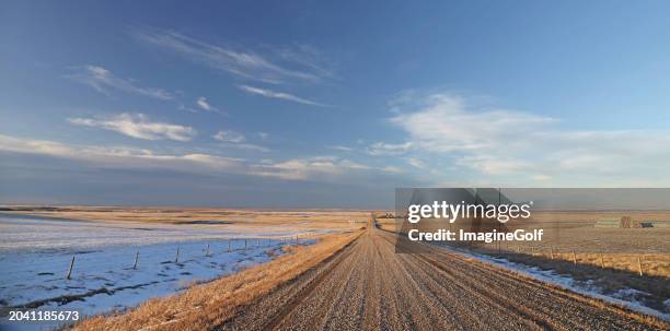 alberta country road in winter - prairie stock pictures, royalty-free photos & images