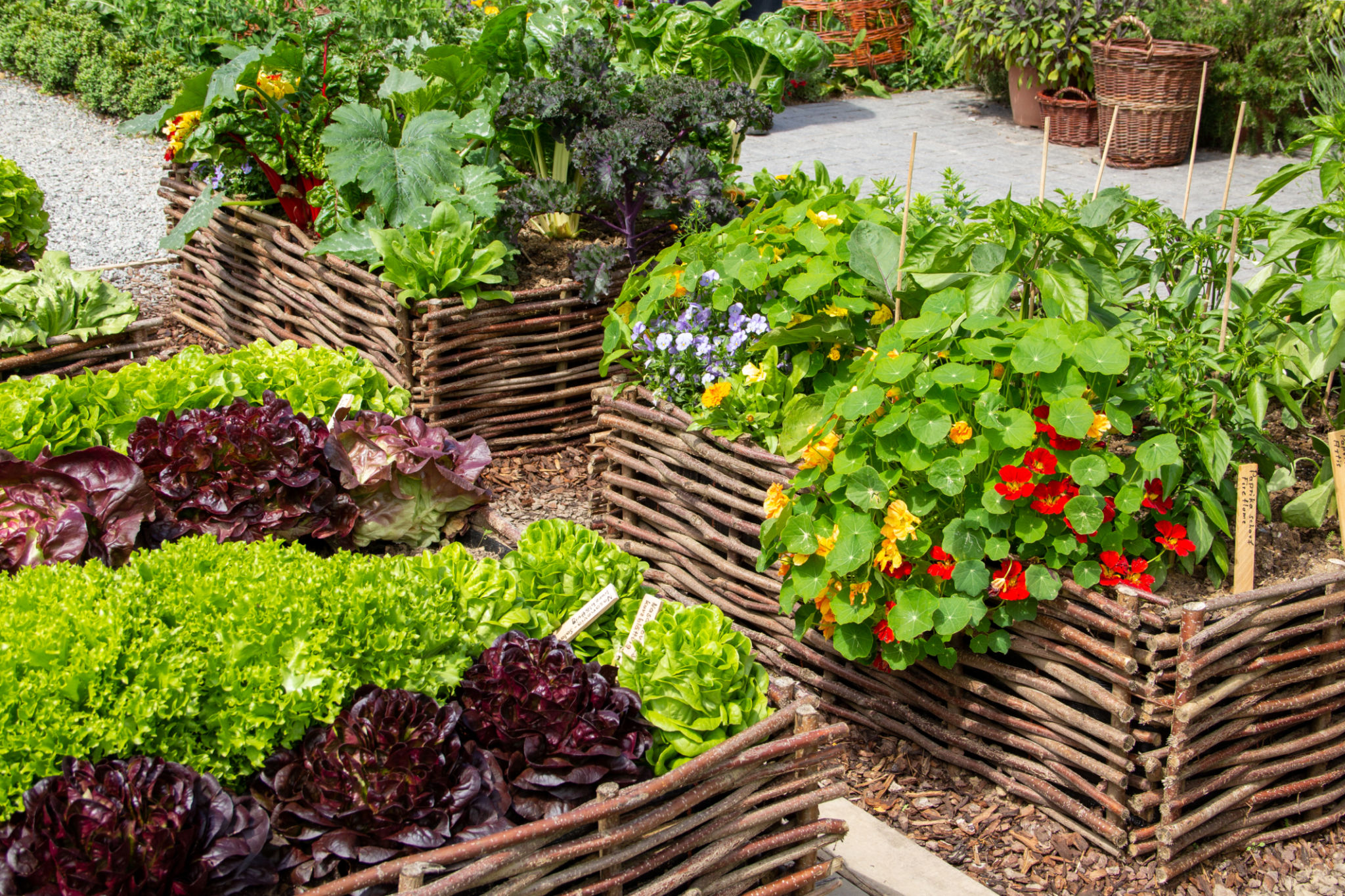 herb garden