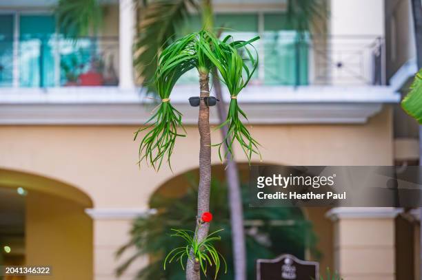 palm tree decorated with sunglasses to look like a person - guerrero stock pictures, royalty-free photos & images