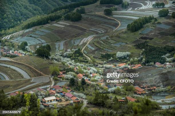 Linjiang 81 Linjiang Stock Photos, High-Res Pictures, and Images - Getty Images