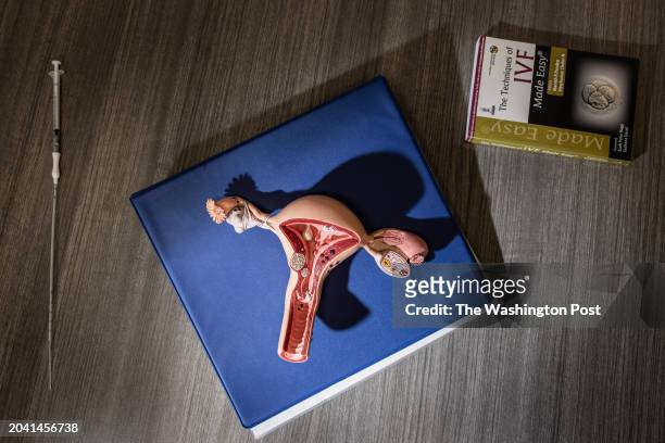 Model of the female reproductive system and an embryo transfer catheter, along with the book titled, "The Techniques of IVF Made Easy," in the office...