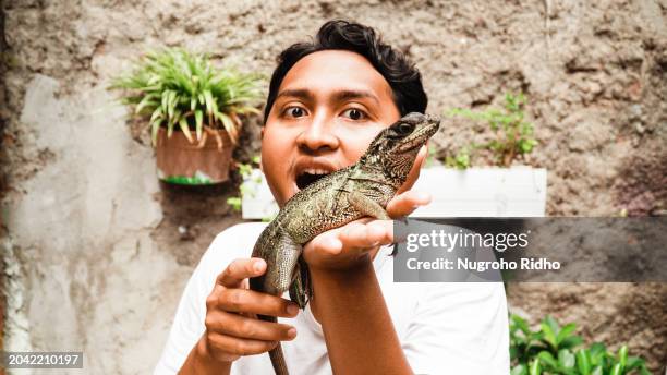 young man holding pet lizard reptile on his hand - green iguana stock pictures, royalty-free photos & images