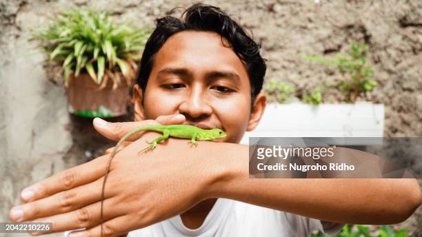 green iguana crawl on man hand - green iguana stock pictures, royalty-free photos & images
