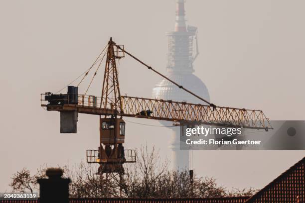 Crane is pictured in front of the Berlin TV Tower on February 29, 2024 in Berlin, Germany.