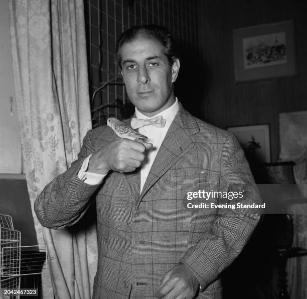 Society photographer Baron standing with a budgerigar perched on a raised fist, September 20th 1955.