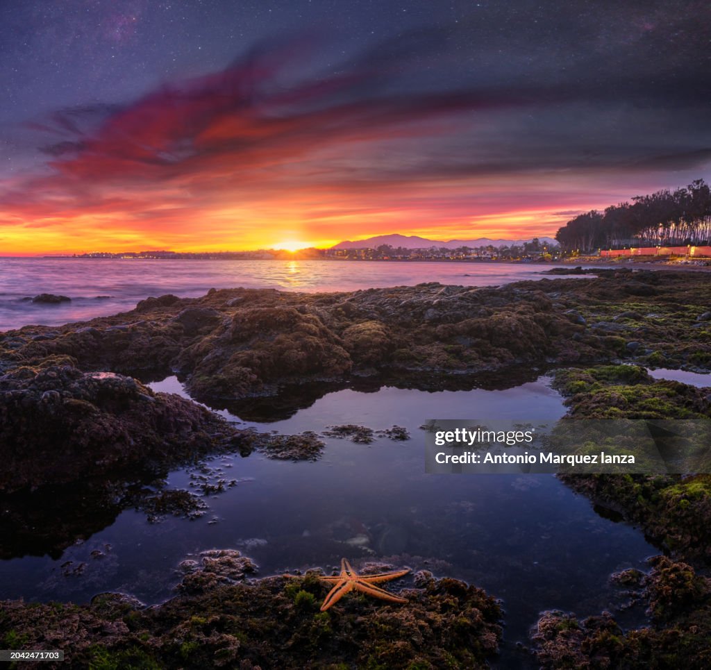 Vibrant Sunset Over Rocky Shoreline With Starfish and Twilight Sky with stars and nebulas