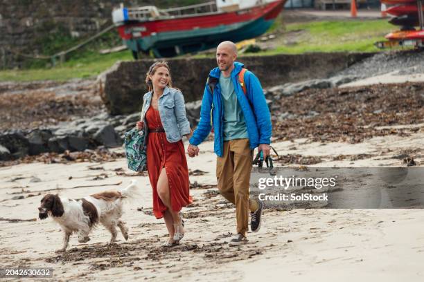 family dog walks at the beach - family at beach stock pictures, royalty-free photos & images