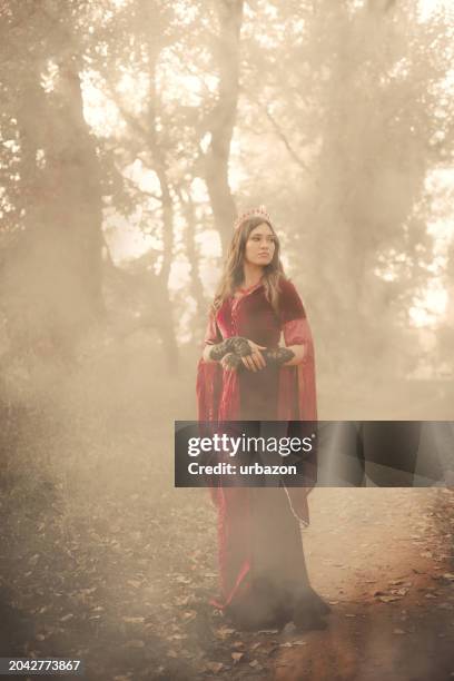evil queen standing in the fog in the forest - scared young woman in woods bildbanksfoton och bilder