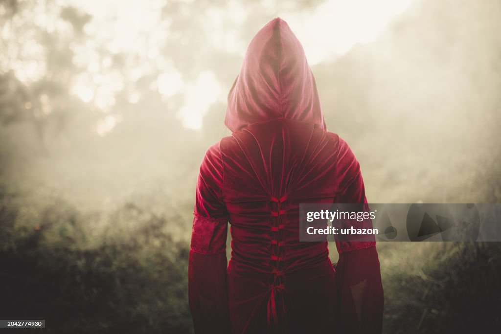 Little Red Riding Hood In The Foggy Forest