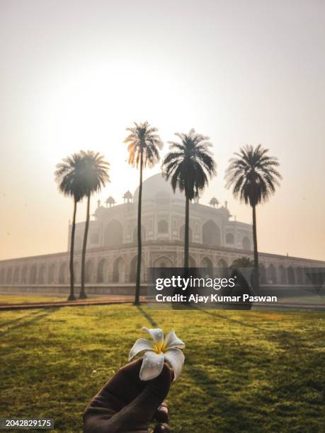 humayun’s tomb - stock photo - humayans tomb stock pictures, royalty-free photos & images