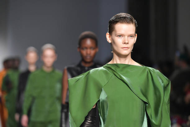 FRA: Dawei : Runway - Paris Fashion Week - Womenswear Fall/Winter 2024-2025