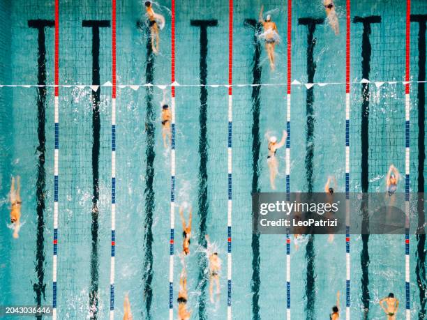 professional young swimmers in a swimming pool - swimming pool lanes top view stock pictures, royalty-free photos & images