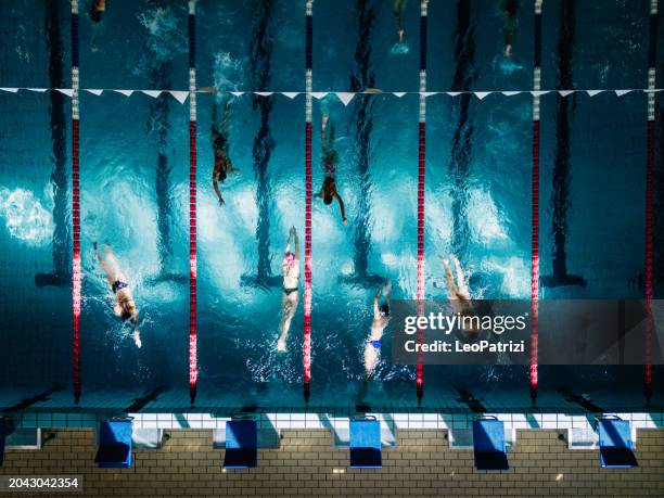 professional young swimmers in a swimming pool - nadador fotografías e imágenes de stock