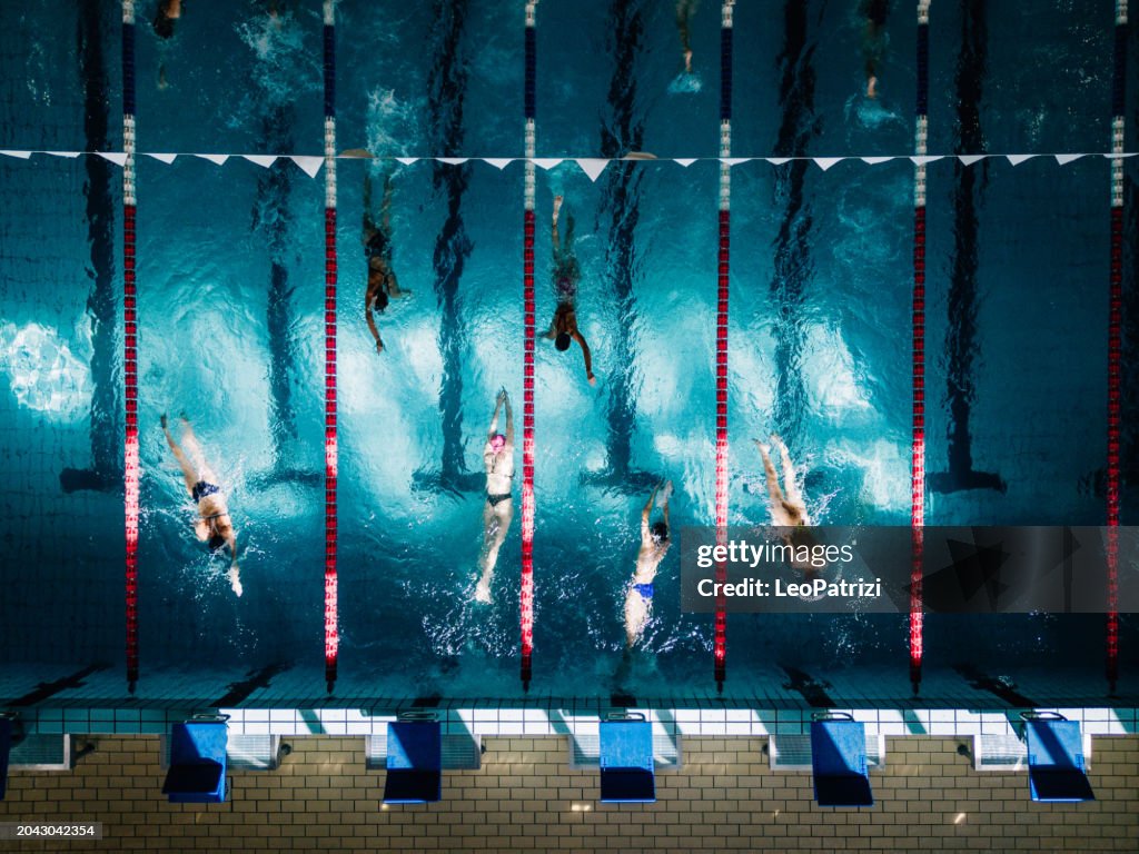 Professional young swimmers in a Swimming Pool