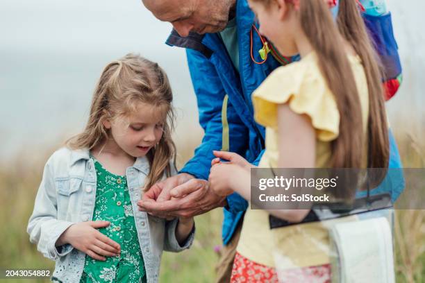 flower picking with my girls - family day stock pictures, royalty-free photos & images