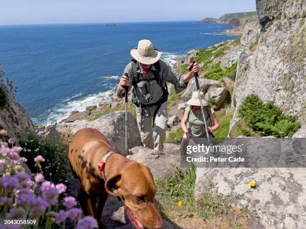 older people walking on cornwall coastal footpath - age 55 health stock pictures, royalty-free photos & images