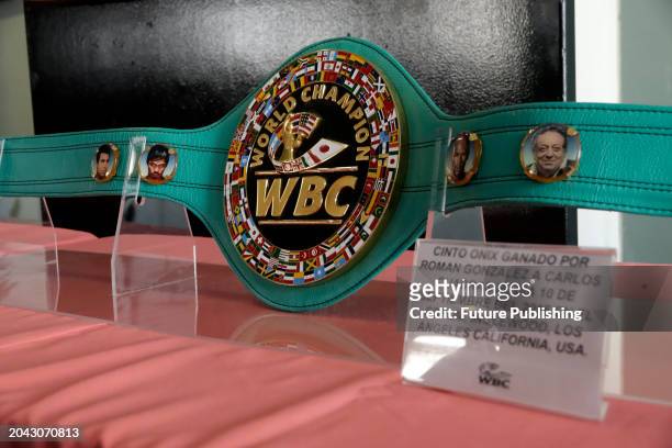 February 28 Mexico City, Mexico: Boxing Champion Belt is seen during the 'WBC Green and Gold Collection' exhibition at the Mexican Senate. .