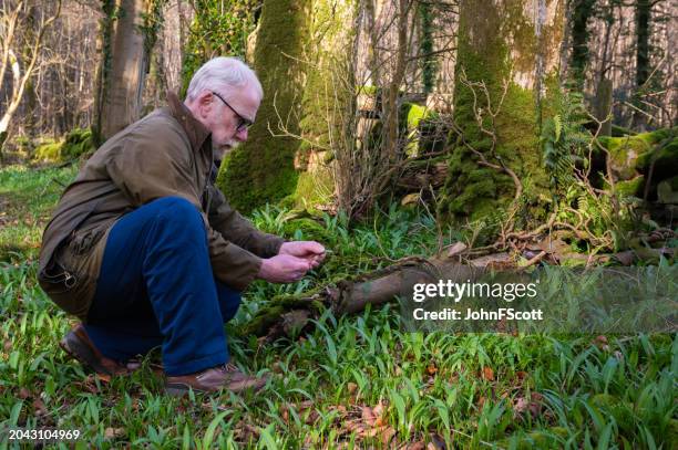 senior man taking a photo of ramson - waxed jacket stock pictures, royalty-free photos & images
