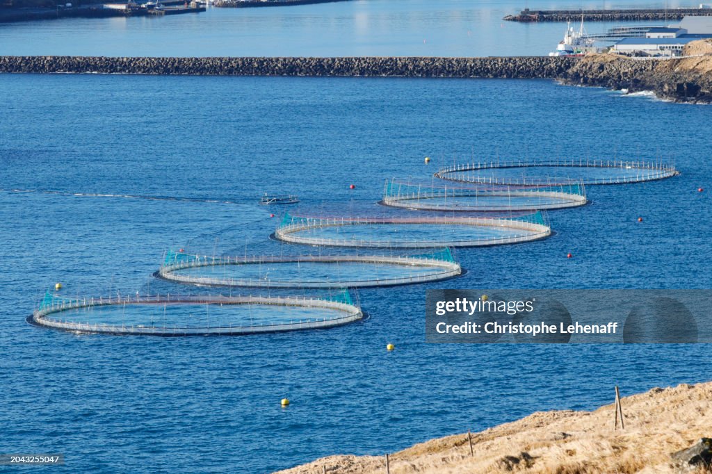 Salmon farming in the region of Sandavagur, Faroe Islands.
